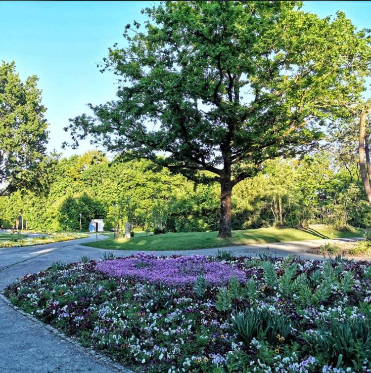 Appartementhaus Nuernberg Bad Fussing Ngoại thất bức ảnh